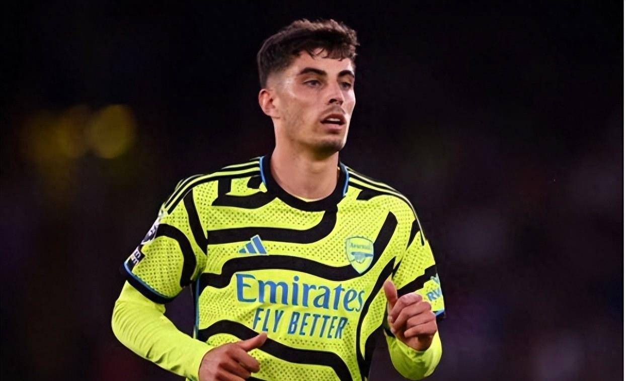 公司业务贡 公司业务贡